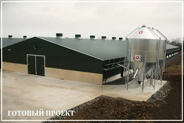 Этапы возведения птицефабрики от завода ВелесТент-слы